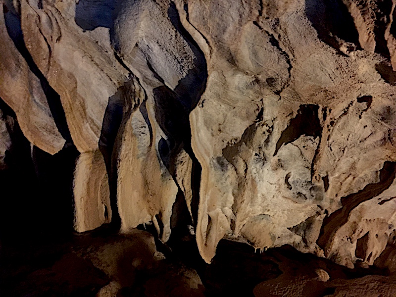 Cueva del oso