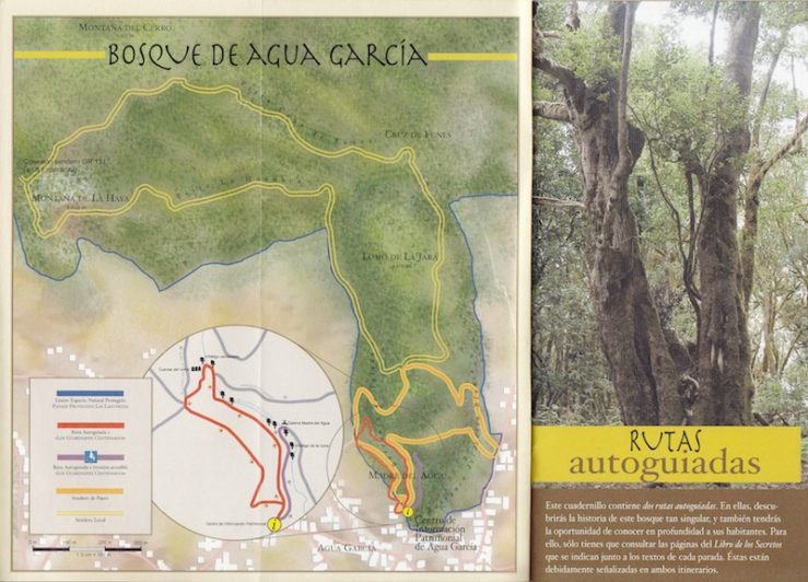 Bosque de Agua Garcia